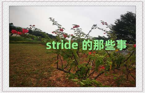 stride 的那些事